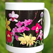 mug DS-024 Orchids Galore 7045